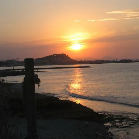 Nueva Vida By Family Homes