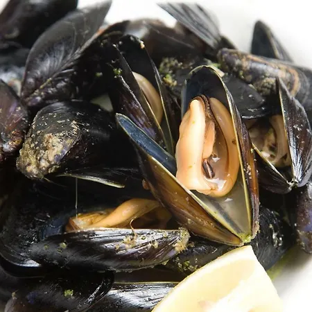 Nueva Vida By Family Homes